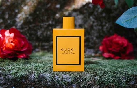 nuovo profumo di gucci uomo|gucci bloom original.